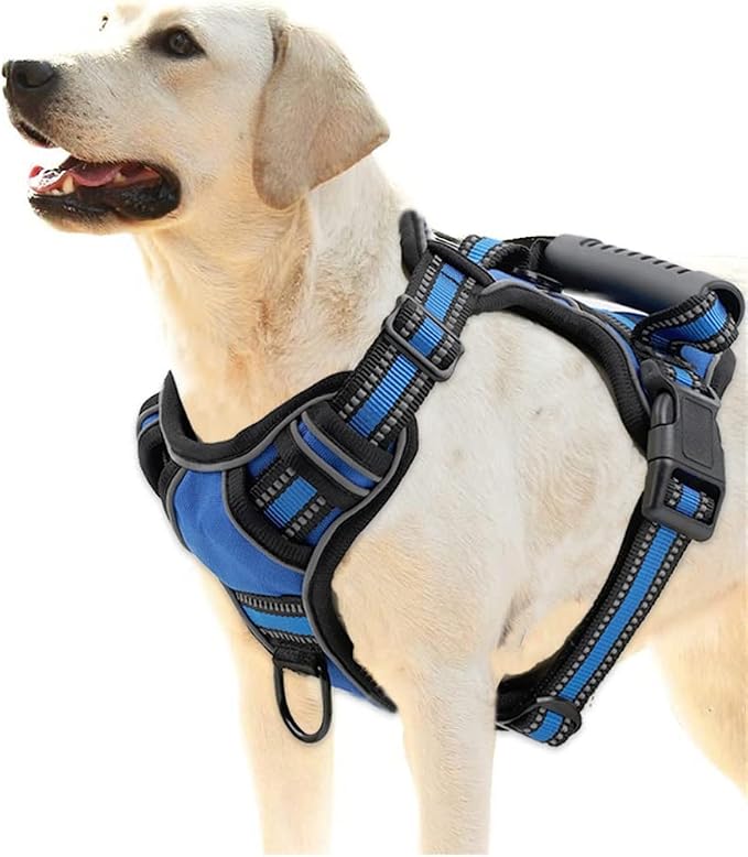 Dog Vest Non-Tension Breathable Reflective Pet Vest Small Large Dog Outdoor Running Dog Pet Accessories (B X)